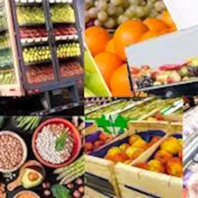 Gıda taşımacılık